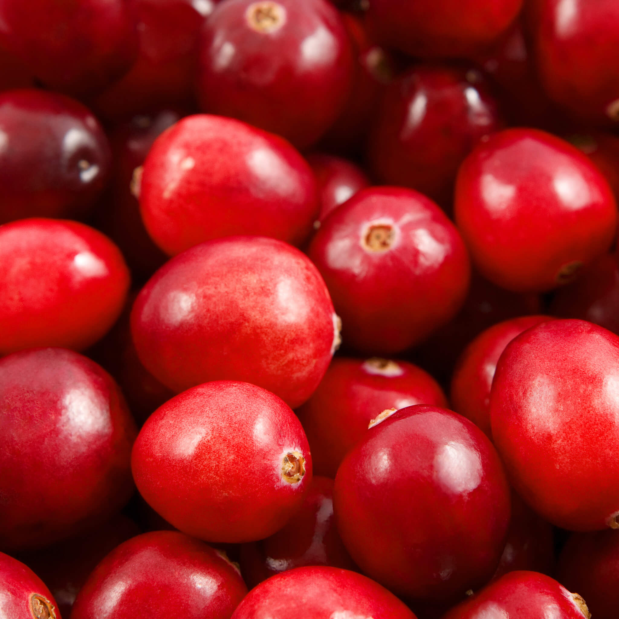 Product Page Key Ingredients: Cranberry
