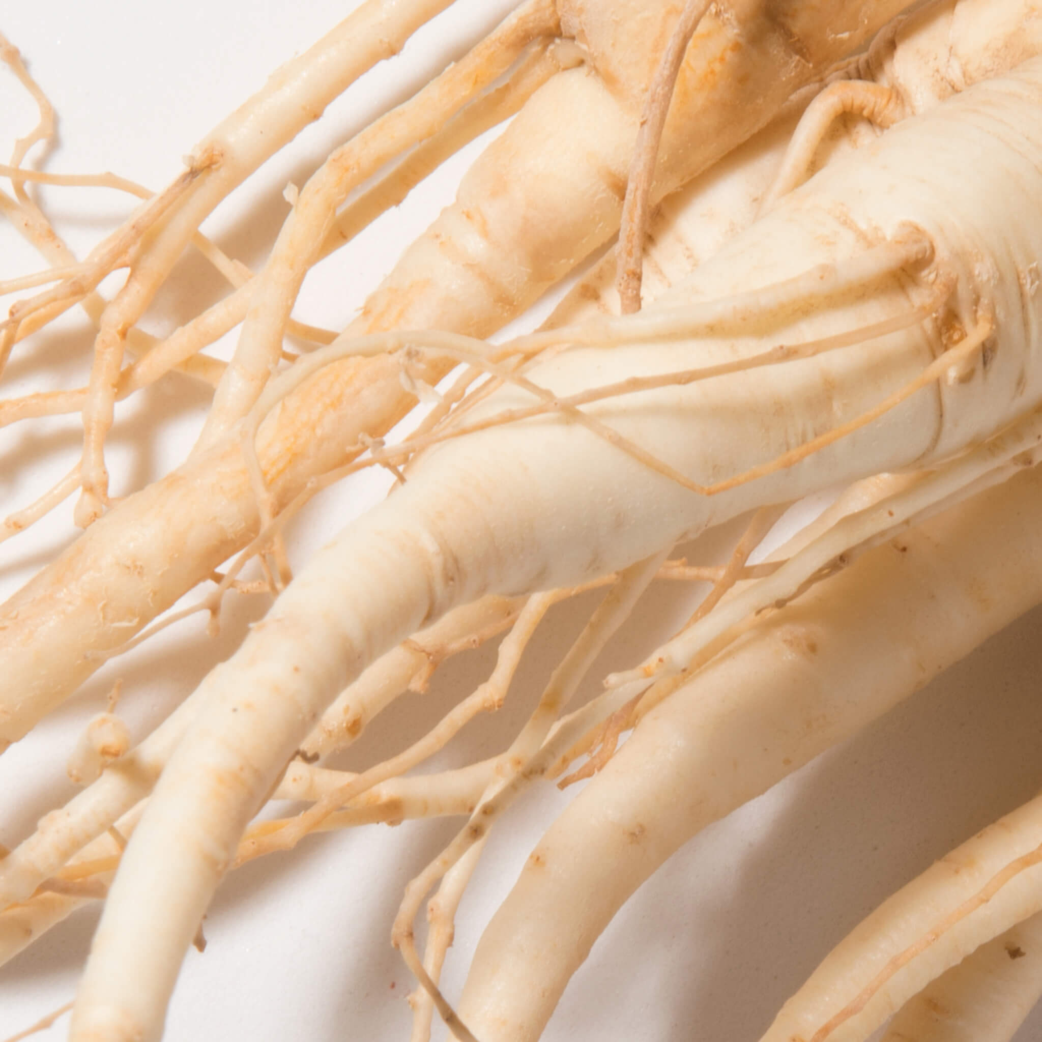 Product Page Key Ingredients: Ginseng