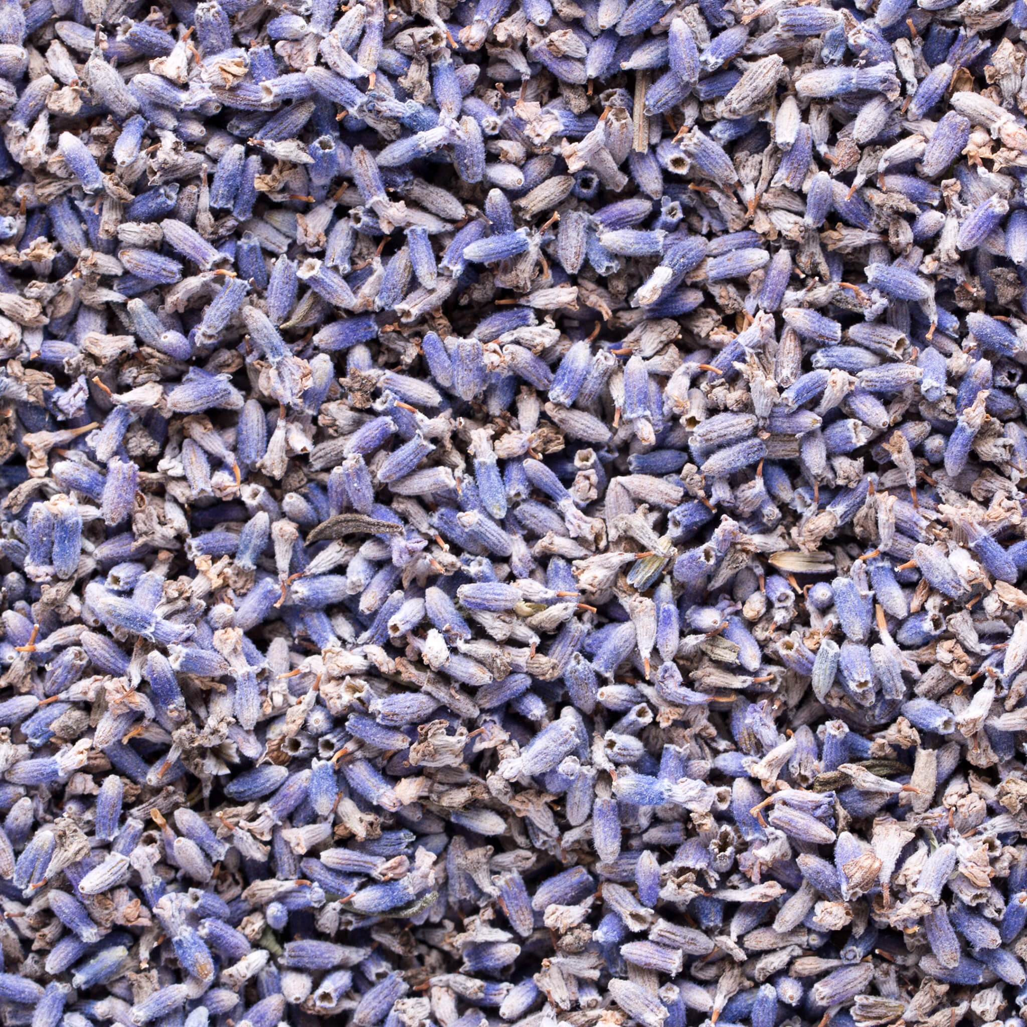 Product Page Key Ingredients: Lavender Essential Oil
