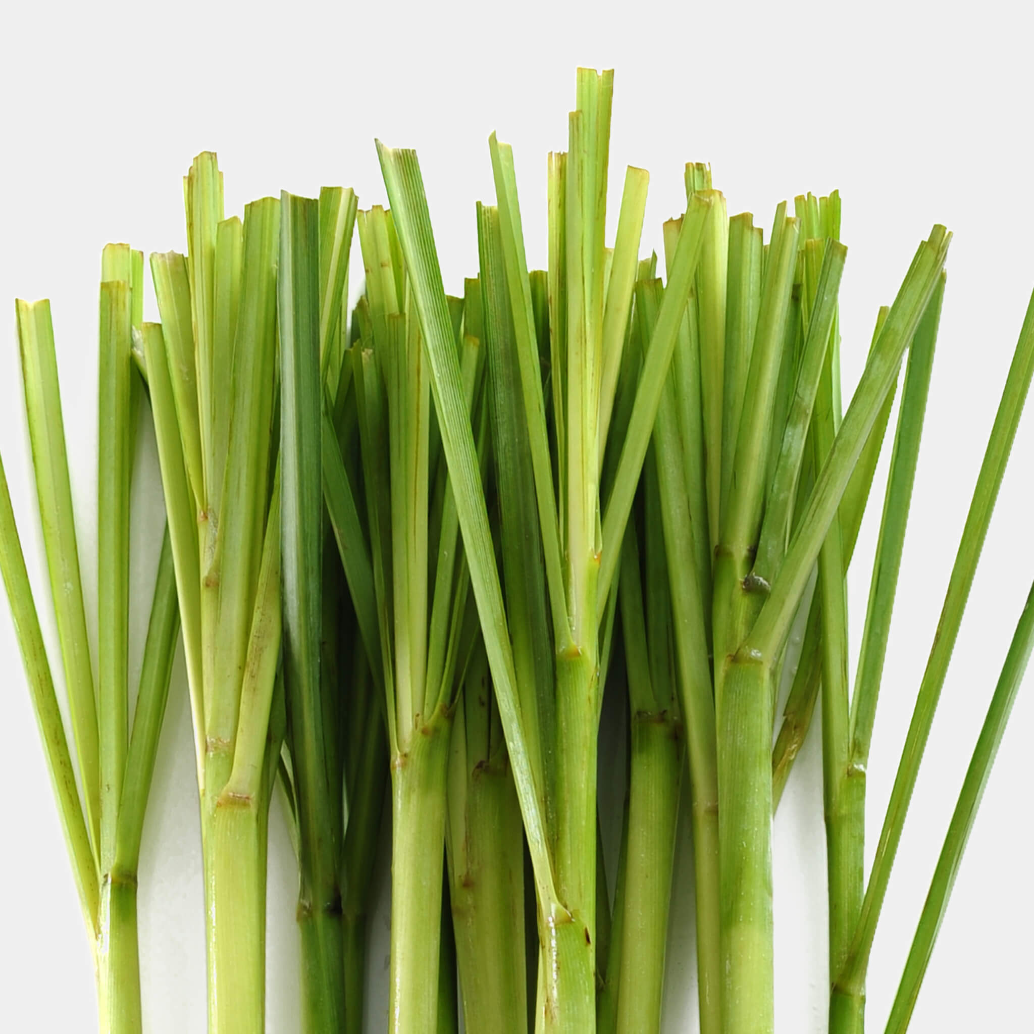 Product Page Key Ingredients: Lemongrass