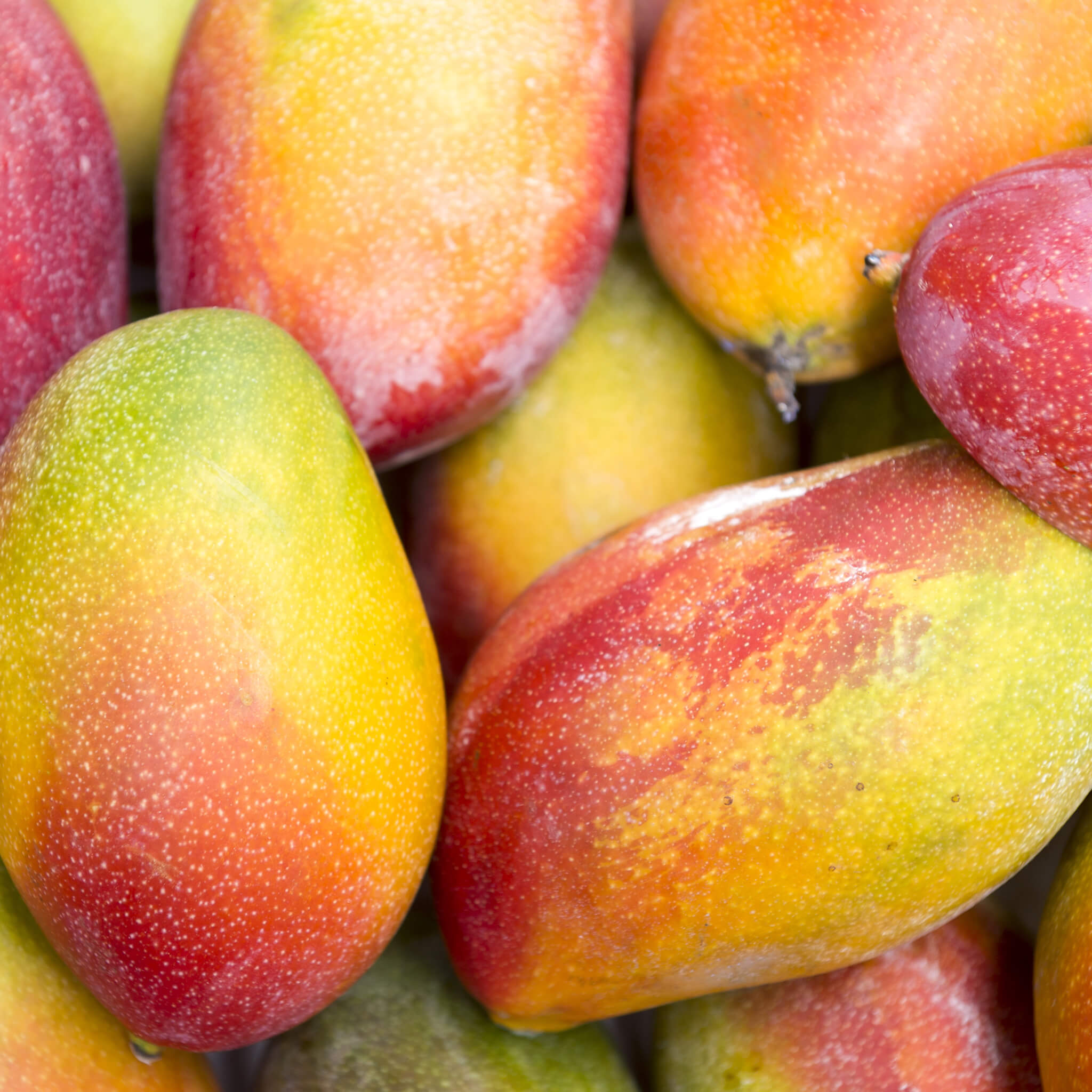 Product Page Key Ingredients: Mango
