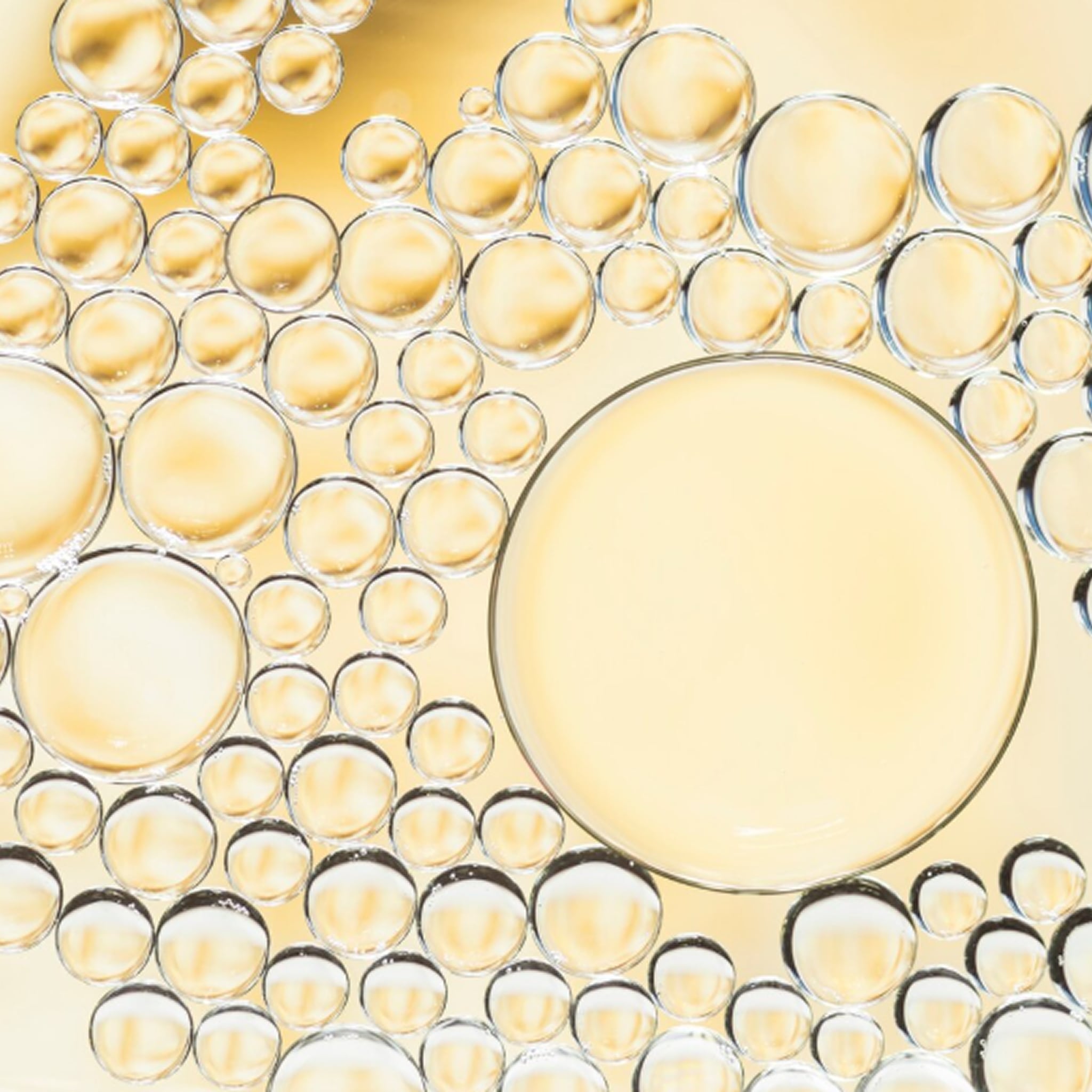 Product Page Key Ingredients: Polyglutamic Acid