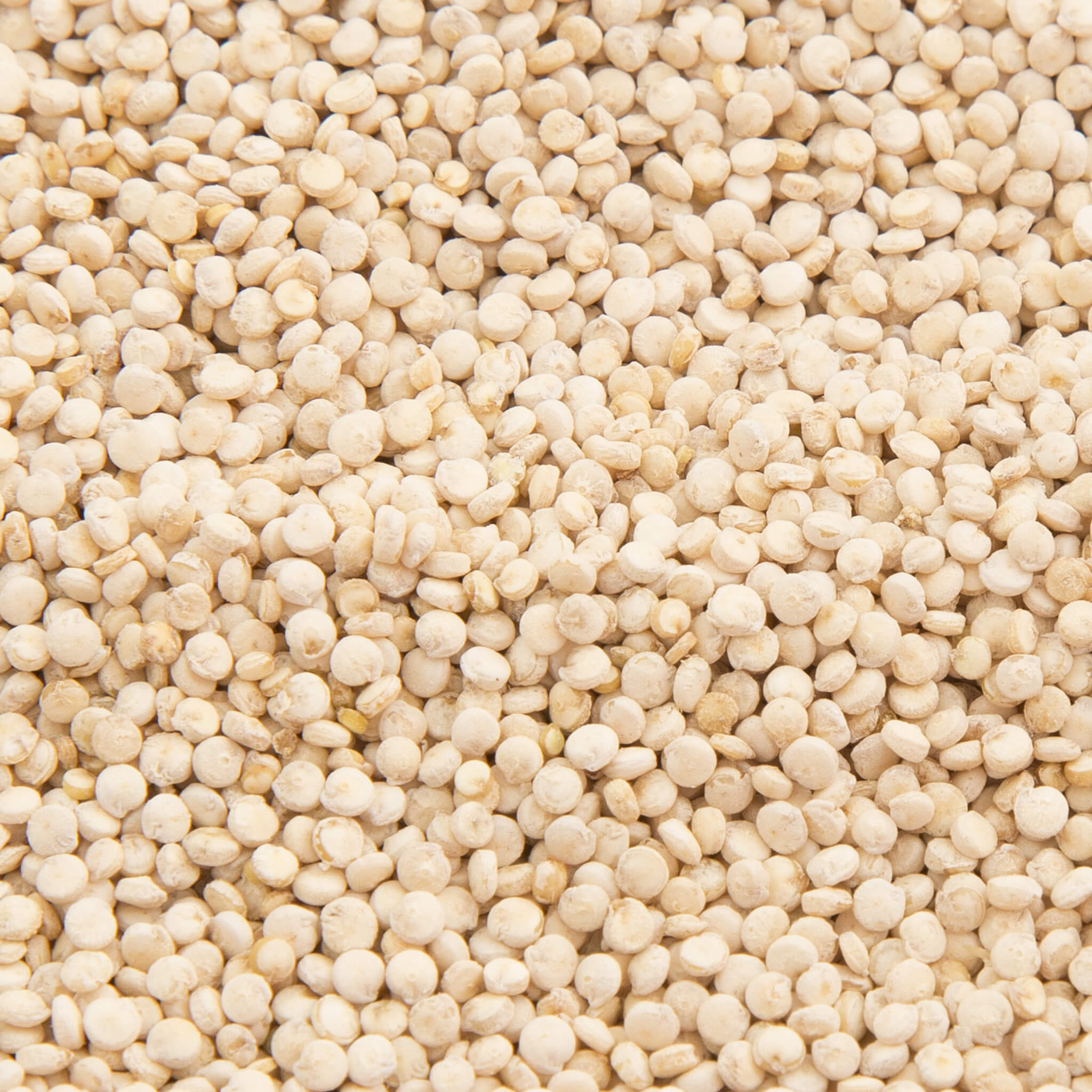 Product Page Key Ingredients: Quinoa Peptides