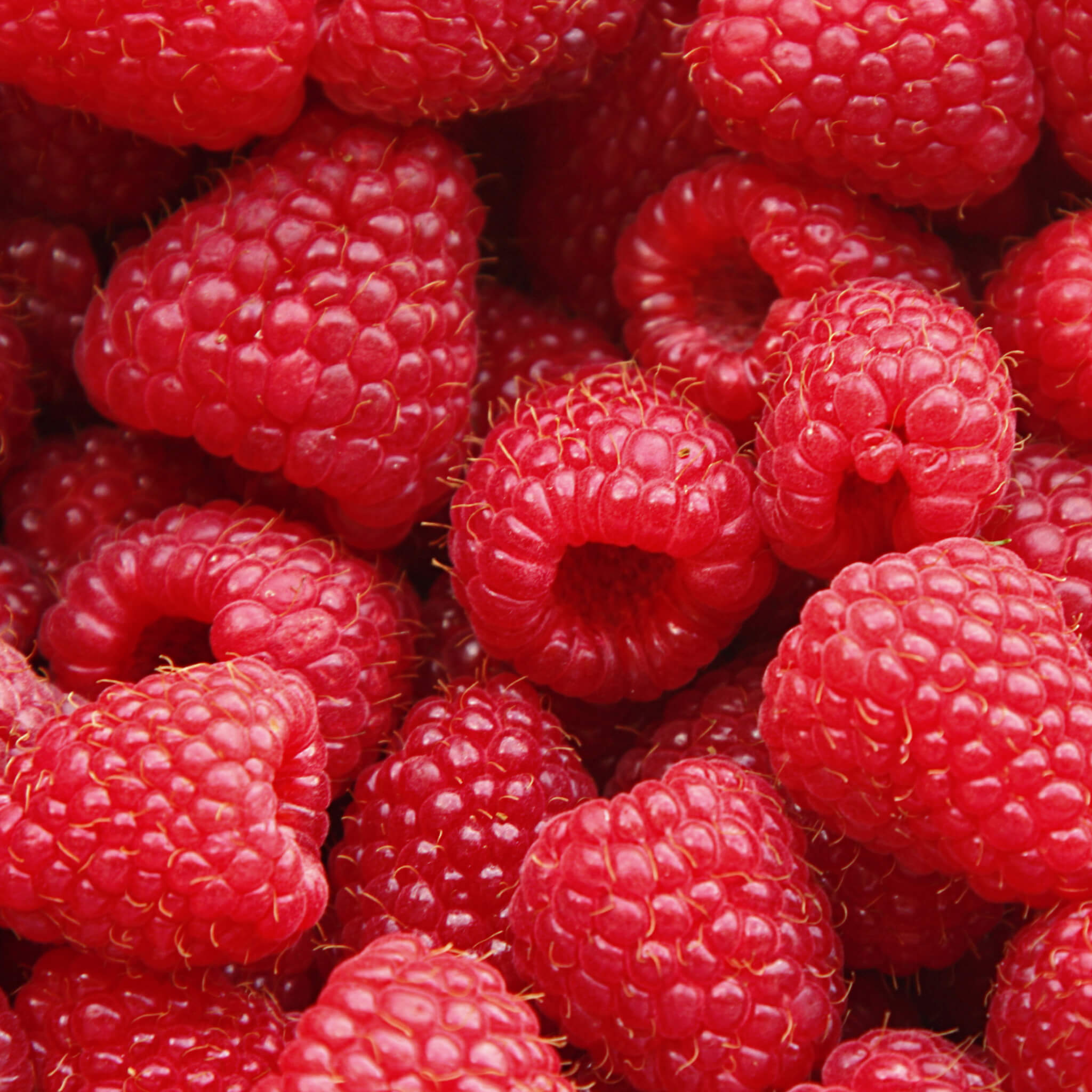 Product Page Key Ingredients: Raspberry Seed Oil