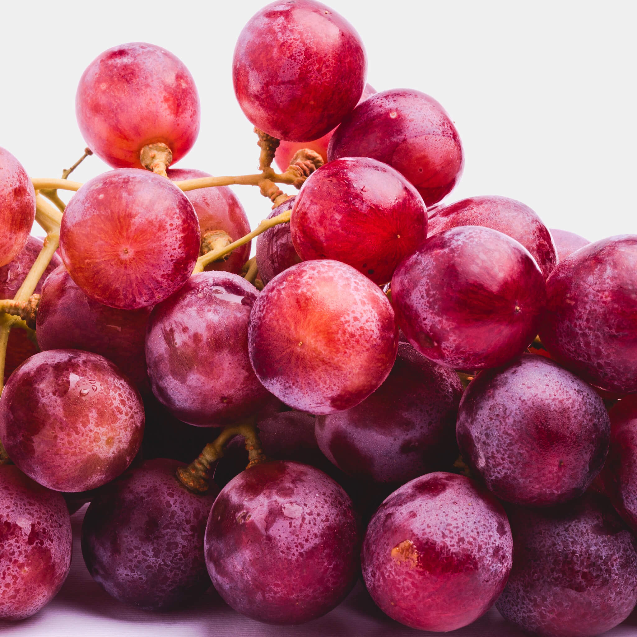 Product Page Key Ingredients: Resveratrol