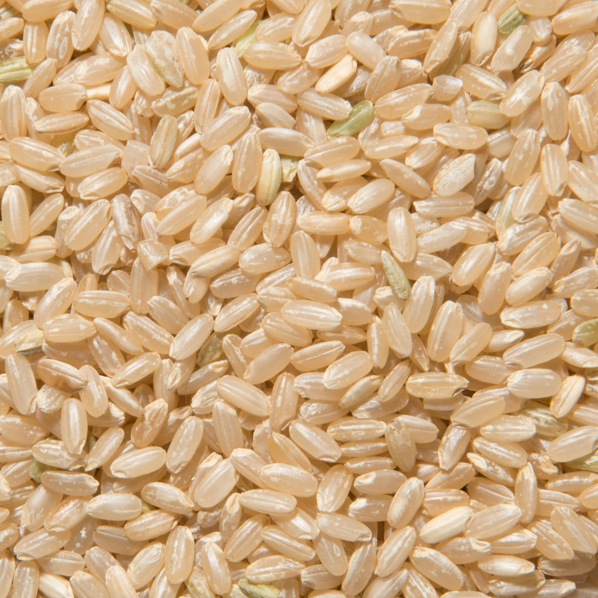 Product Page Key Ingredients: Rice Bran Ceramide