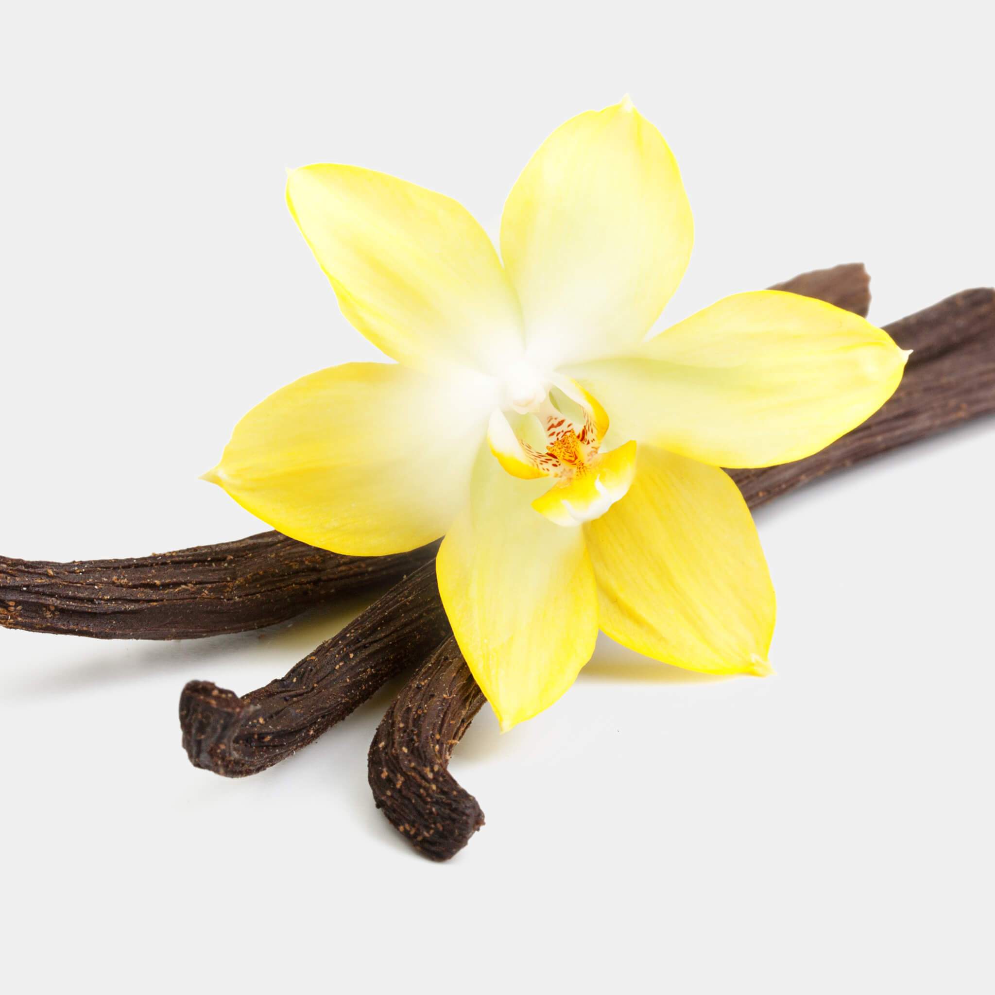 Product Page Key Ingredients: Vanilla Planifolia