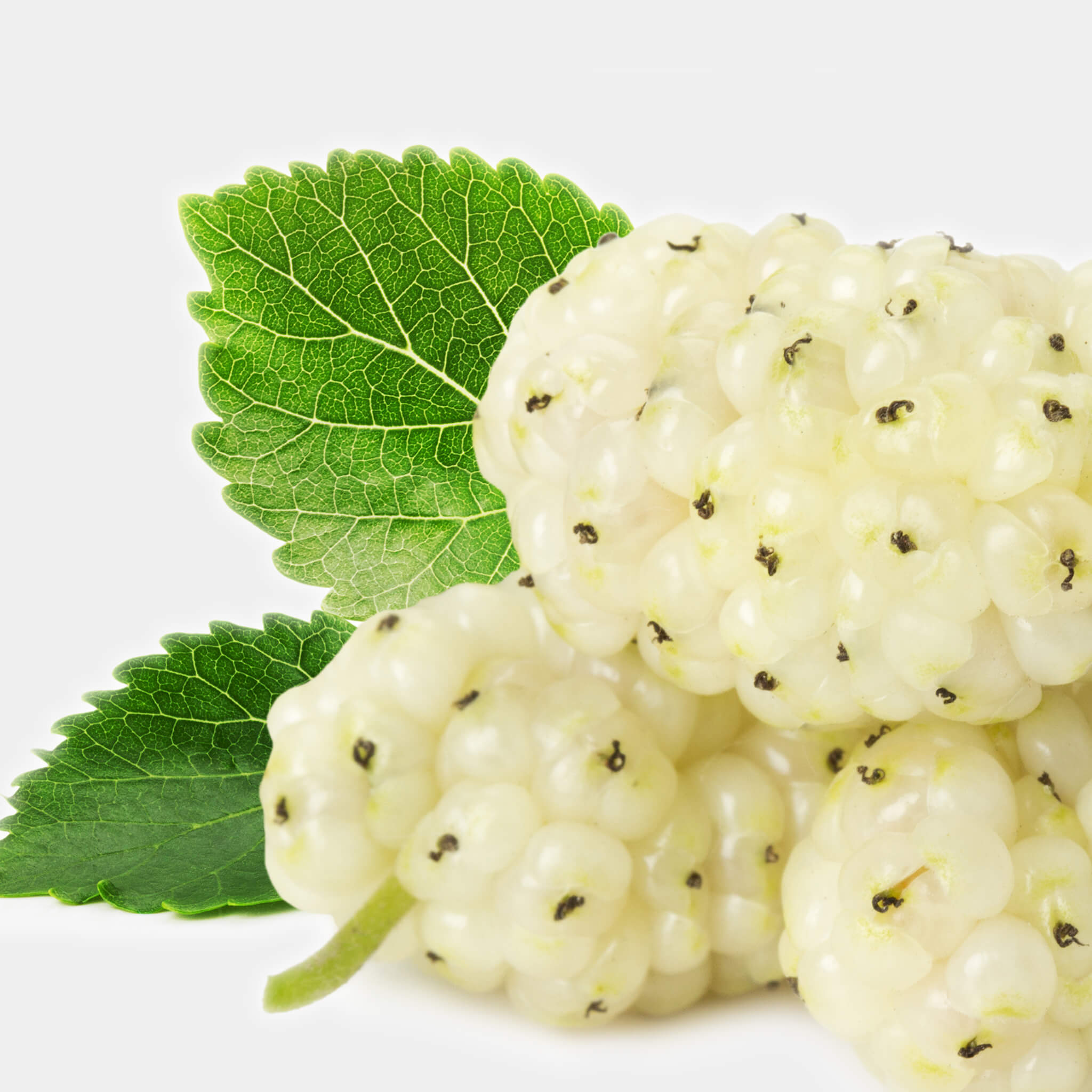 Product Page Key Ingredients: White Mulberry