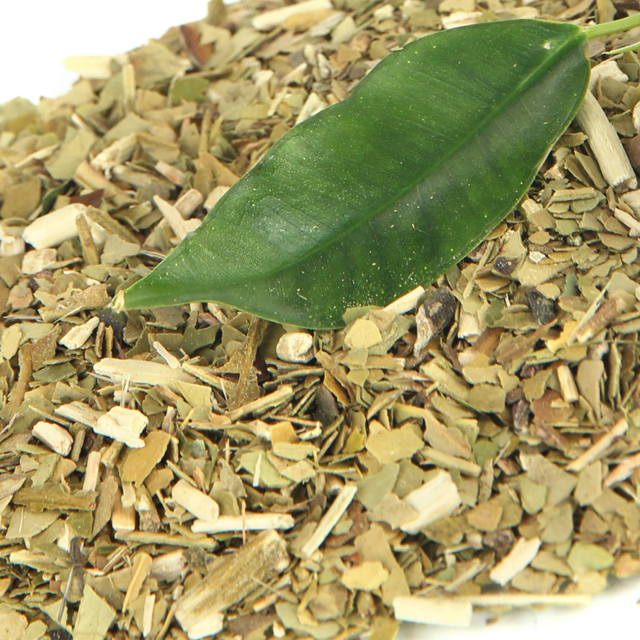 Product Page Key Ingredients: Yerba Mate Tea