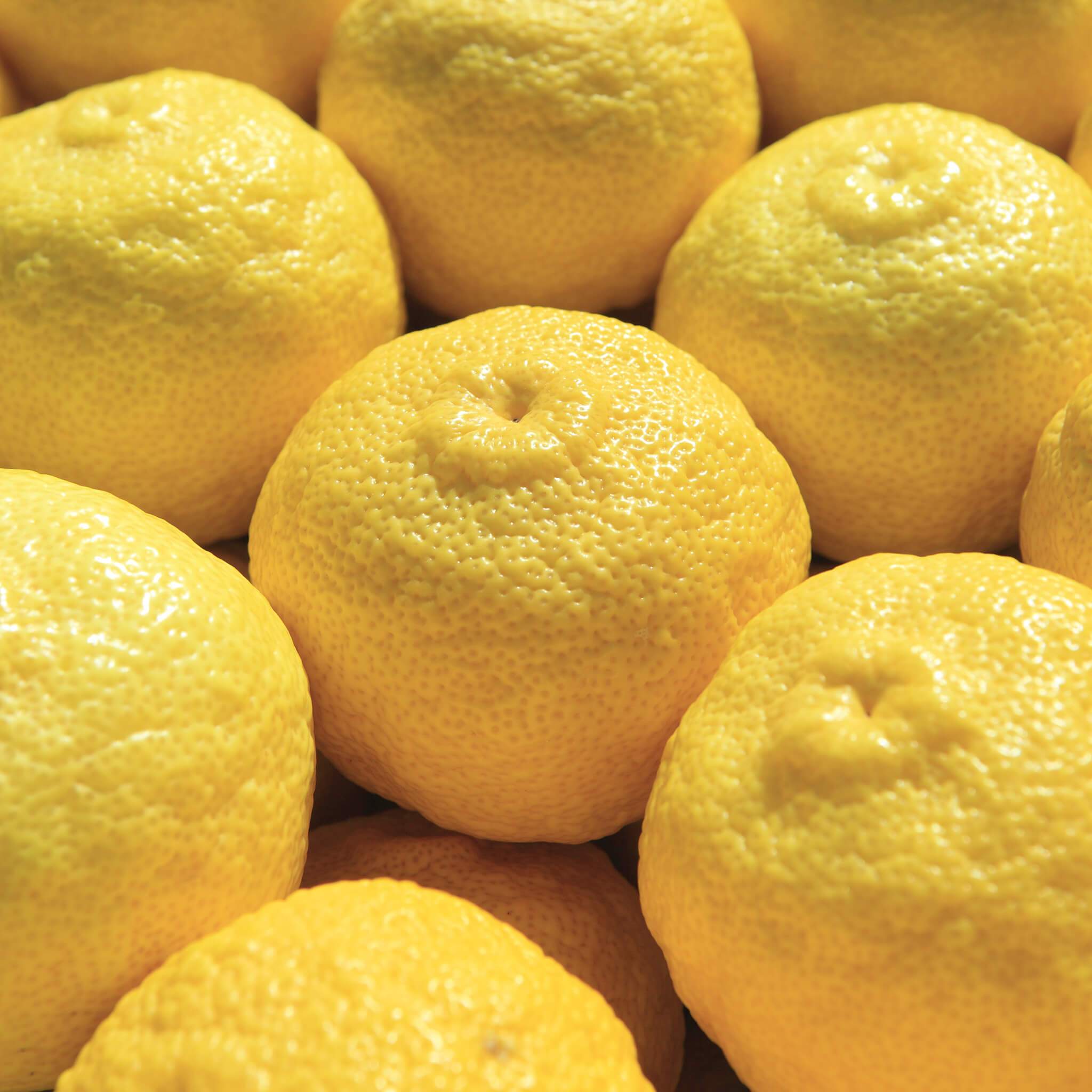 Product Page Key Ingredients: Yuzu Fruit