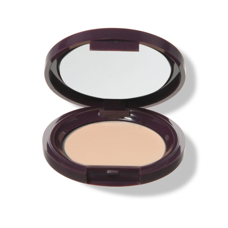 100% Pure Fruit Pigmented® Long Last Concealer with Super Fruits