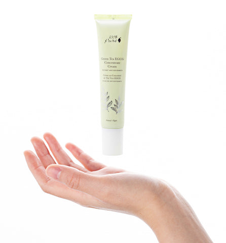 Blog Feed Article Feature Image Carousel: Benefits of Using a Green Tea Moisturizer 