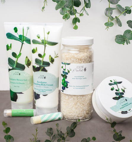 Blog Feed Article Feature Image Carousel: Eucalyptus Benefits for Skin, Hair, and More 