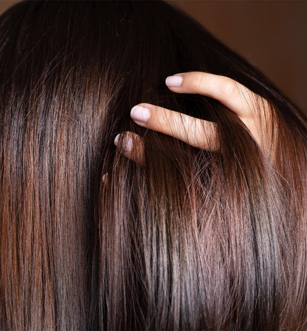 Blog Feed Article Feature Image Carousel: What Your Scalp Is Trying to Tell You 