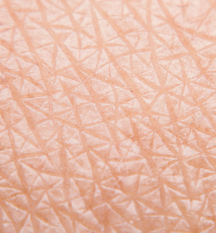 Blog Feed Article Feature Image Carousel: How to Master the Skin Microbiome 