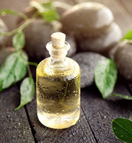 Blog Feed Article Feature Image Carousel: Why Green Tea Oil Should Be Your New BFF 