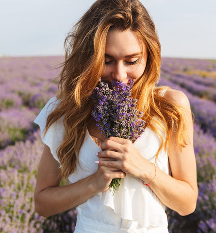 Blog Feed Article Feature Image Carousel: Lavender Flower for Happiness & Health 