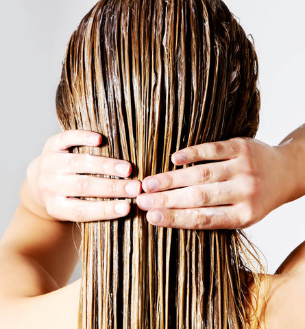Blog Feed Article Feature Image Carousel: All About Scalp Conditioners 