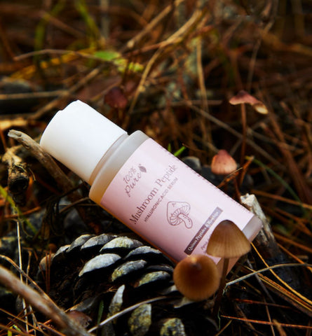 Blog Feed Article Feature Image Carousel: Mushroom skincare for sensitive skin: Understanding the gentle yet effective benefits of using mushroom-based products 