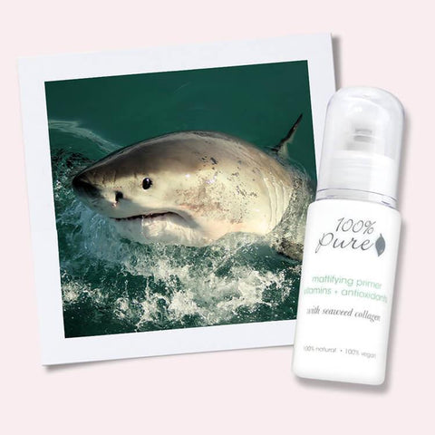 Blog Feed Article Feature Image Carousel: We Love Sharks 