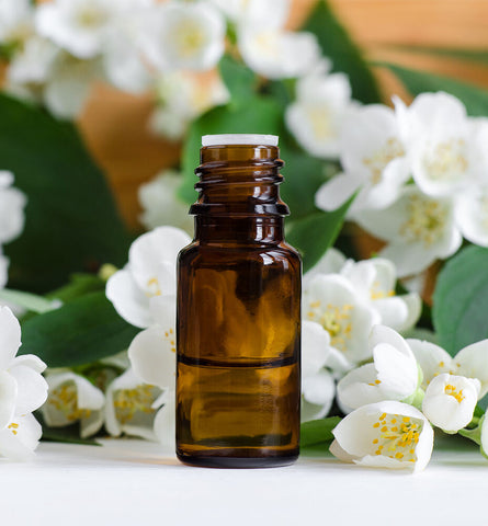 Blog Feed Article Feature Image Carousel: Jasmine Essential Oil Benefits 