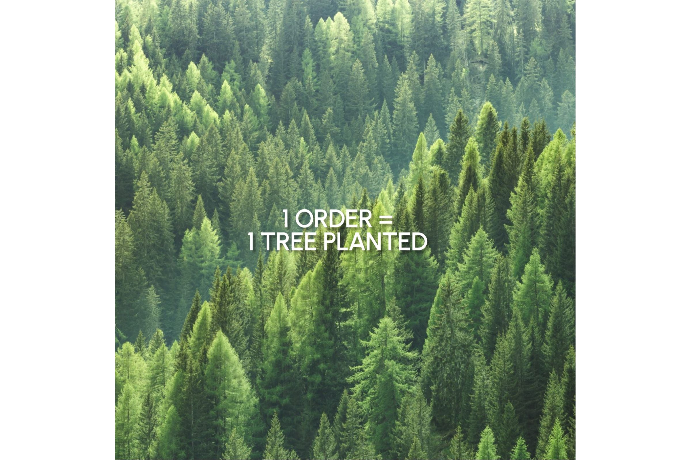 100_PURE_1_order_1_tree_planted