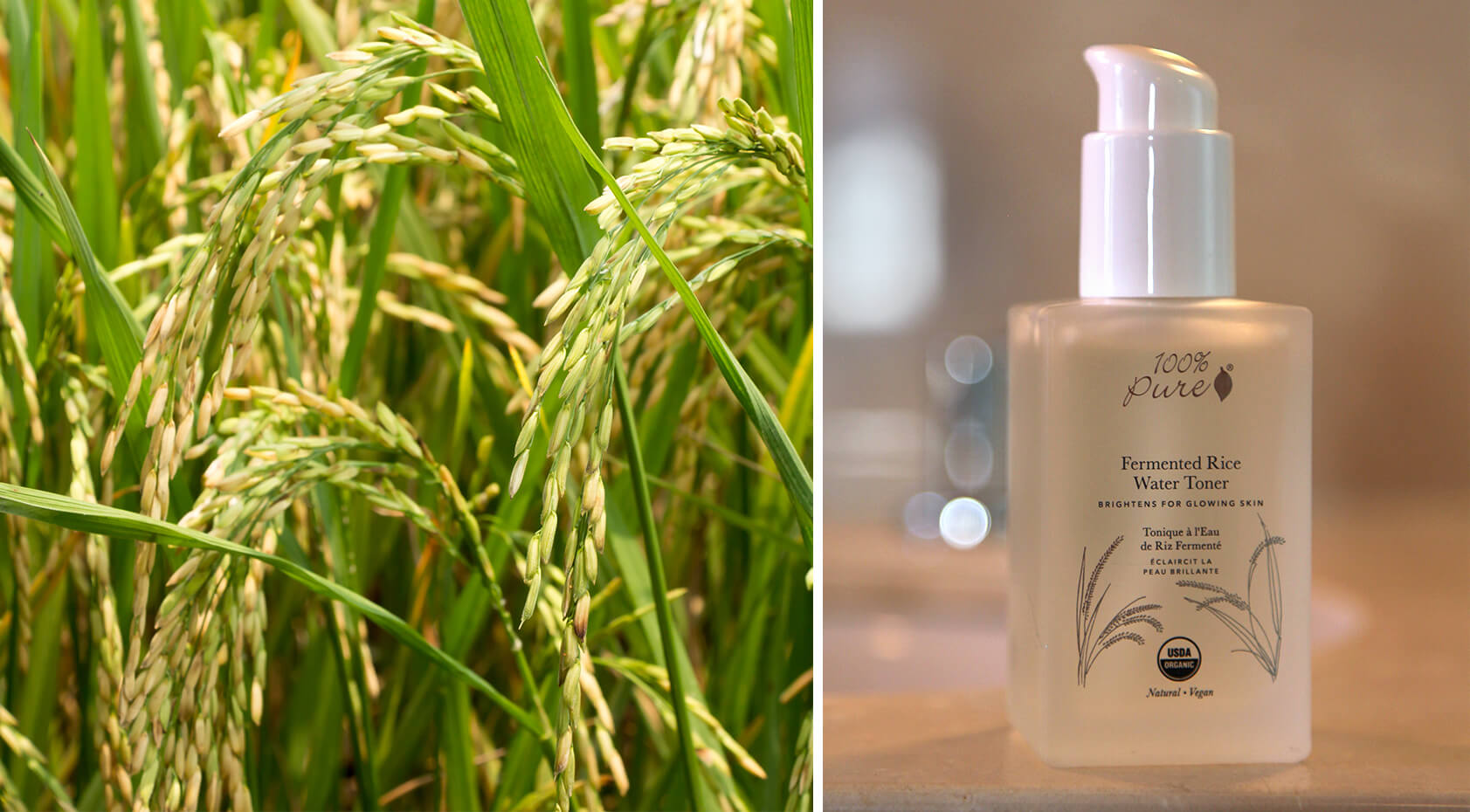 100_PURE_Fermented_Rice_Water_Toner