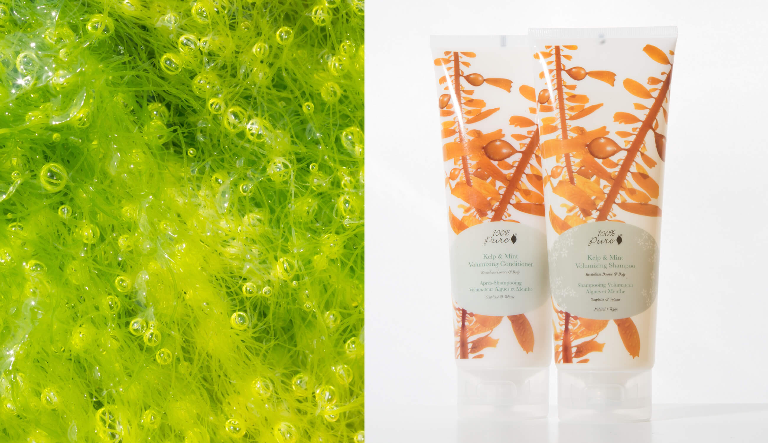 100% PURE Kelp and Mint Hair Products