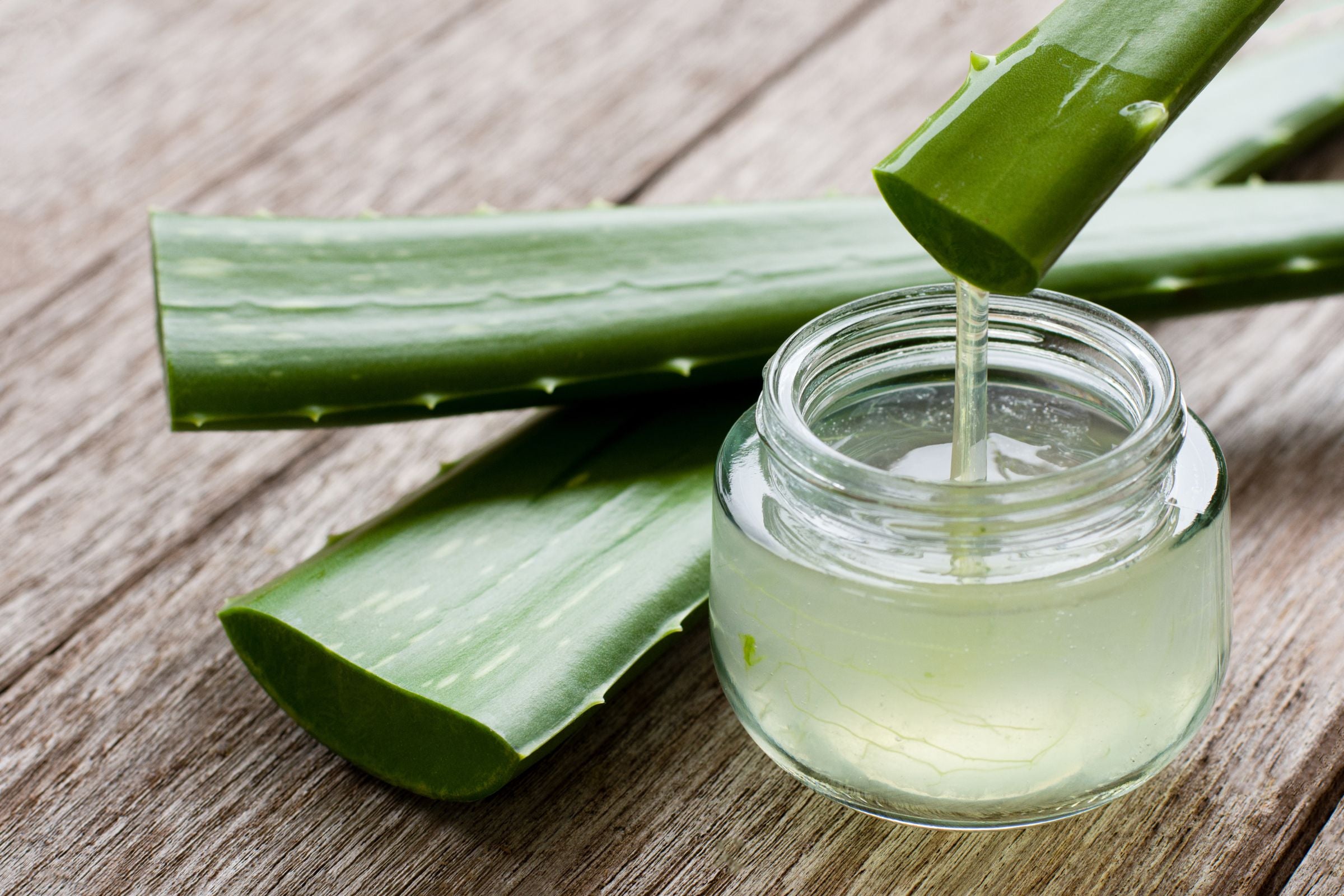 Aloe_Vera_for_hair