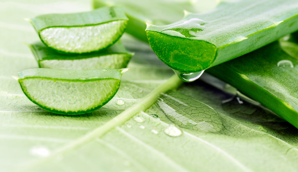 Aloe
