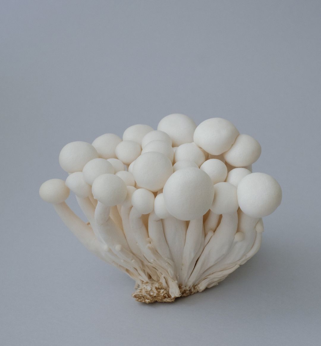 Close_up_of_enoki_mushrooms