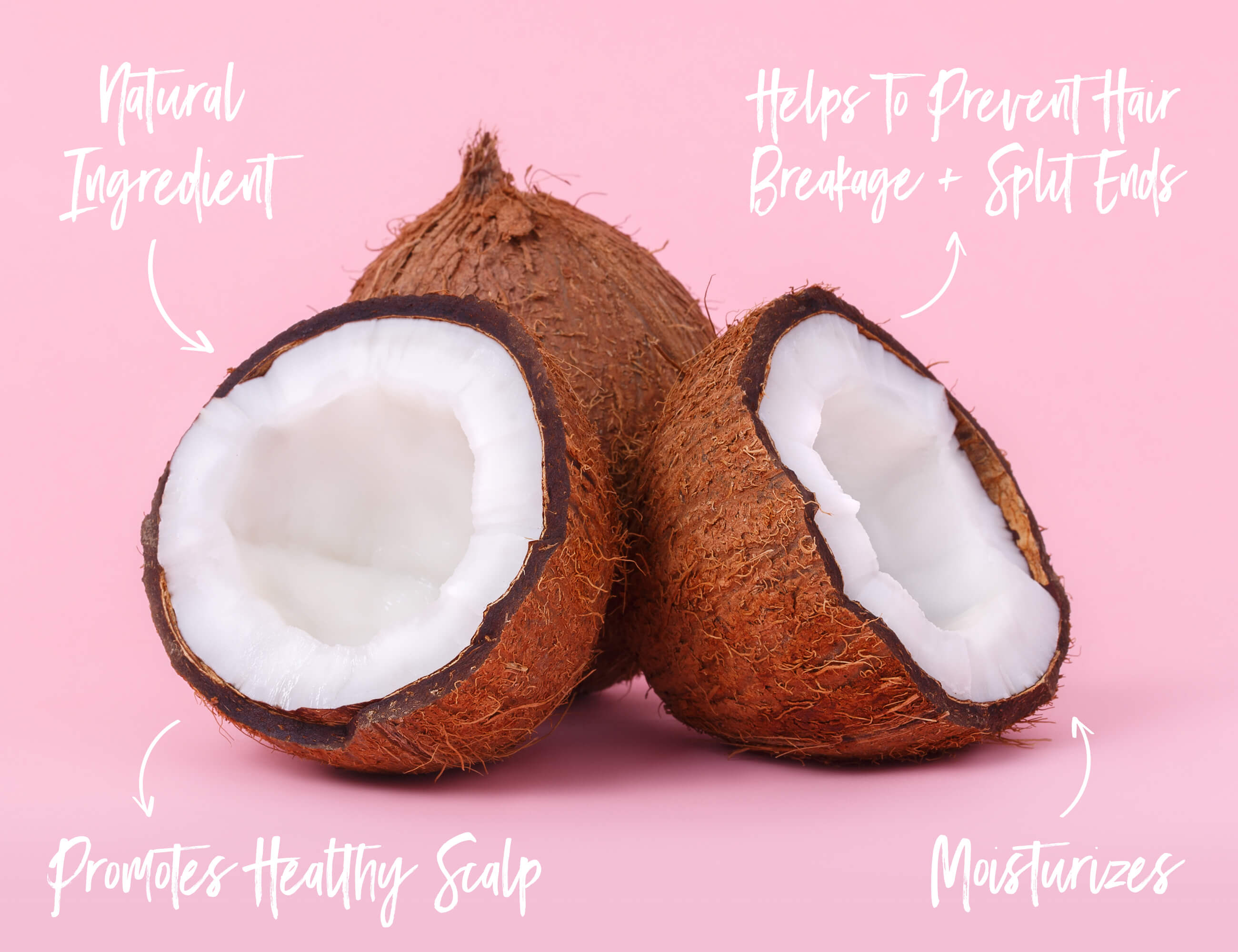 Coconut with Reasons