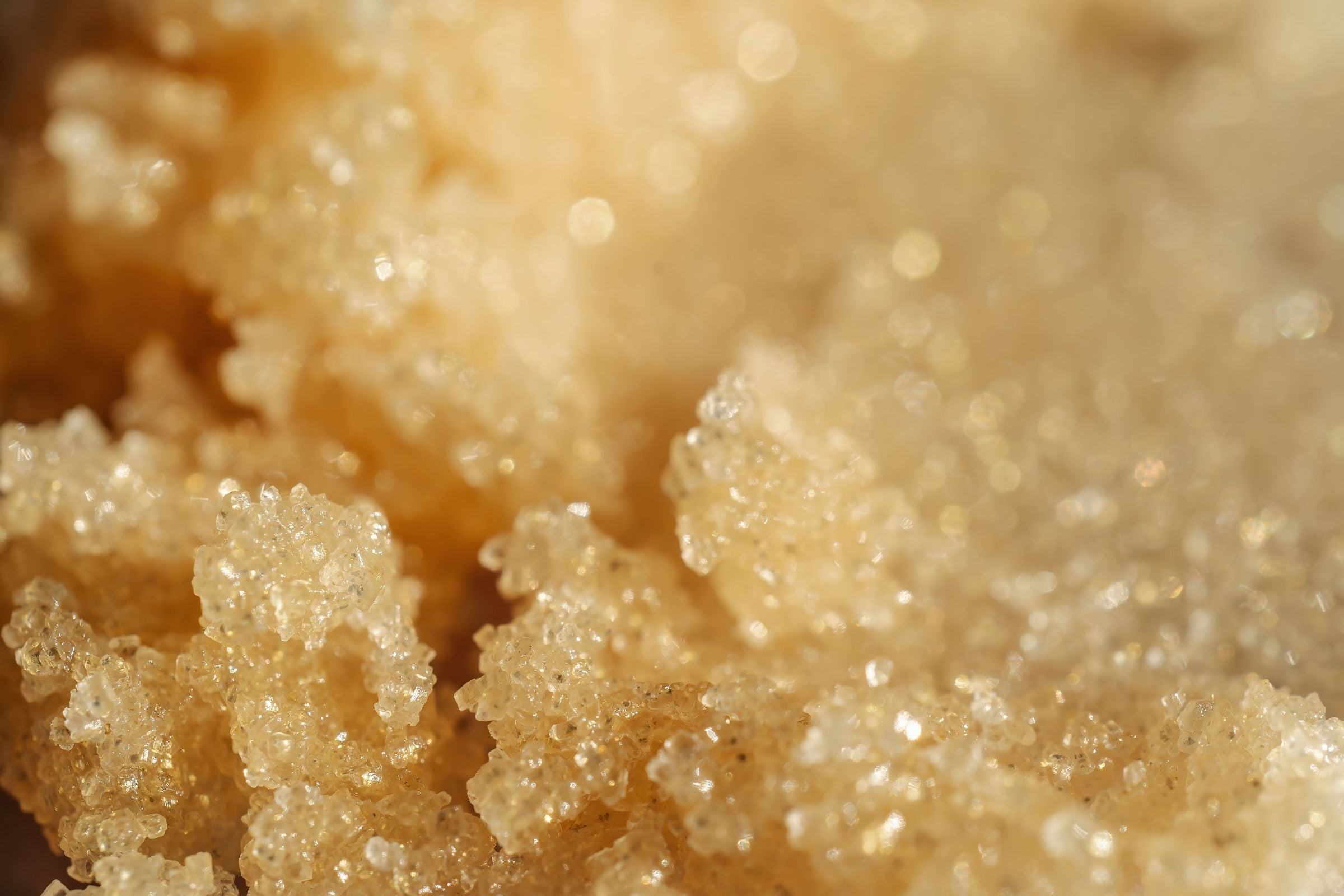 Cover_Photo_-_100_Pure_The_Ultimate_Body_Scrub_Guide_for_Every_Skin_Texture