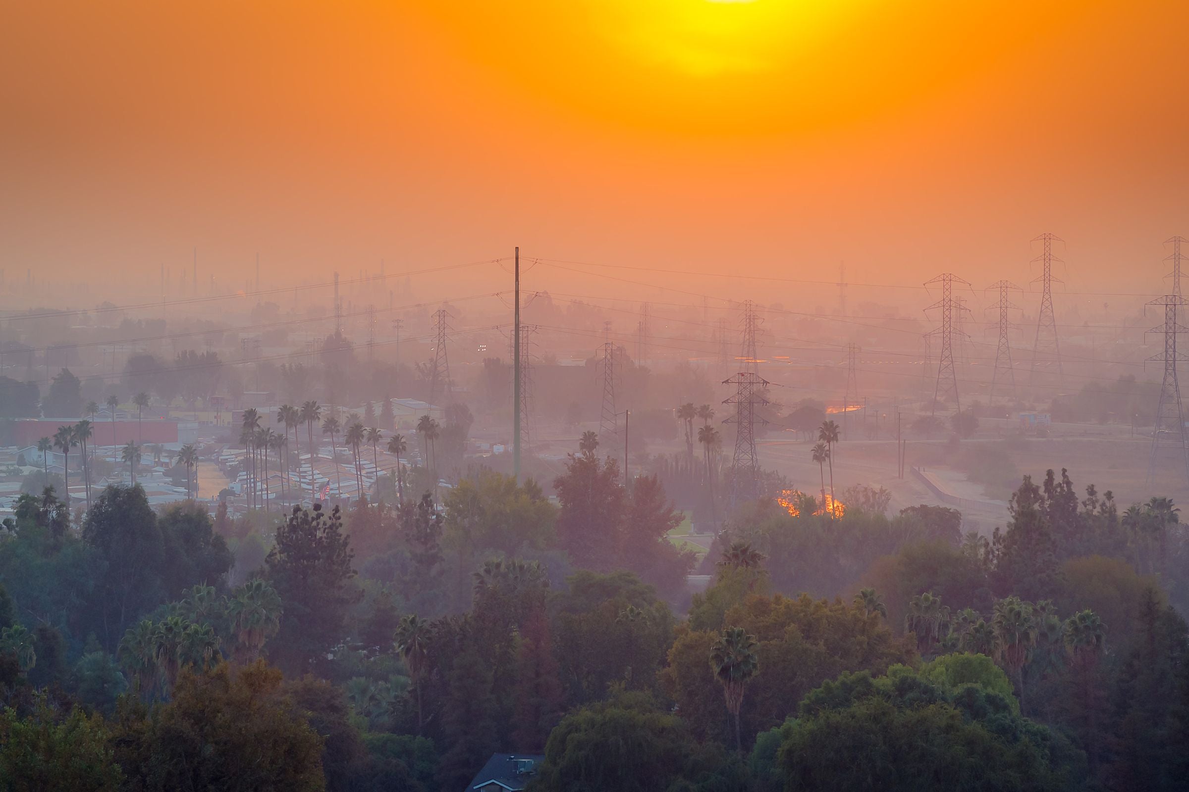 Cover_Photo_-_100__Pure_The_Negative_Effects_of_Air_Pollution_on_Your_Skin