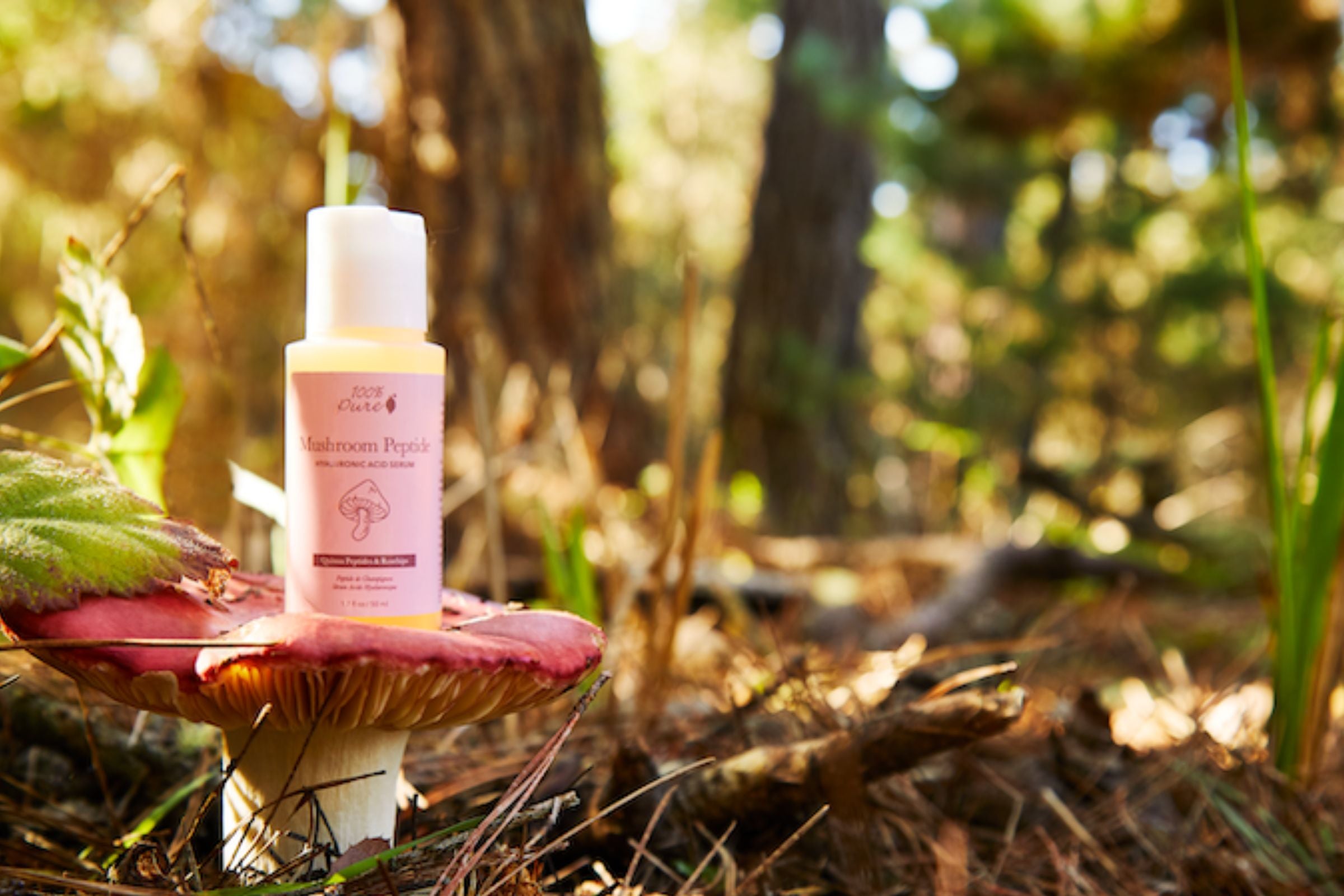 Cover_Photo_-_100__Pure_The_benefits_of_mushroom_extracts_in_skincare