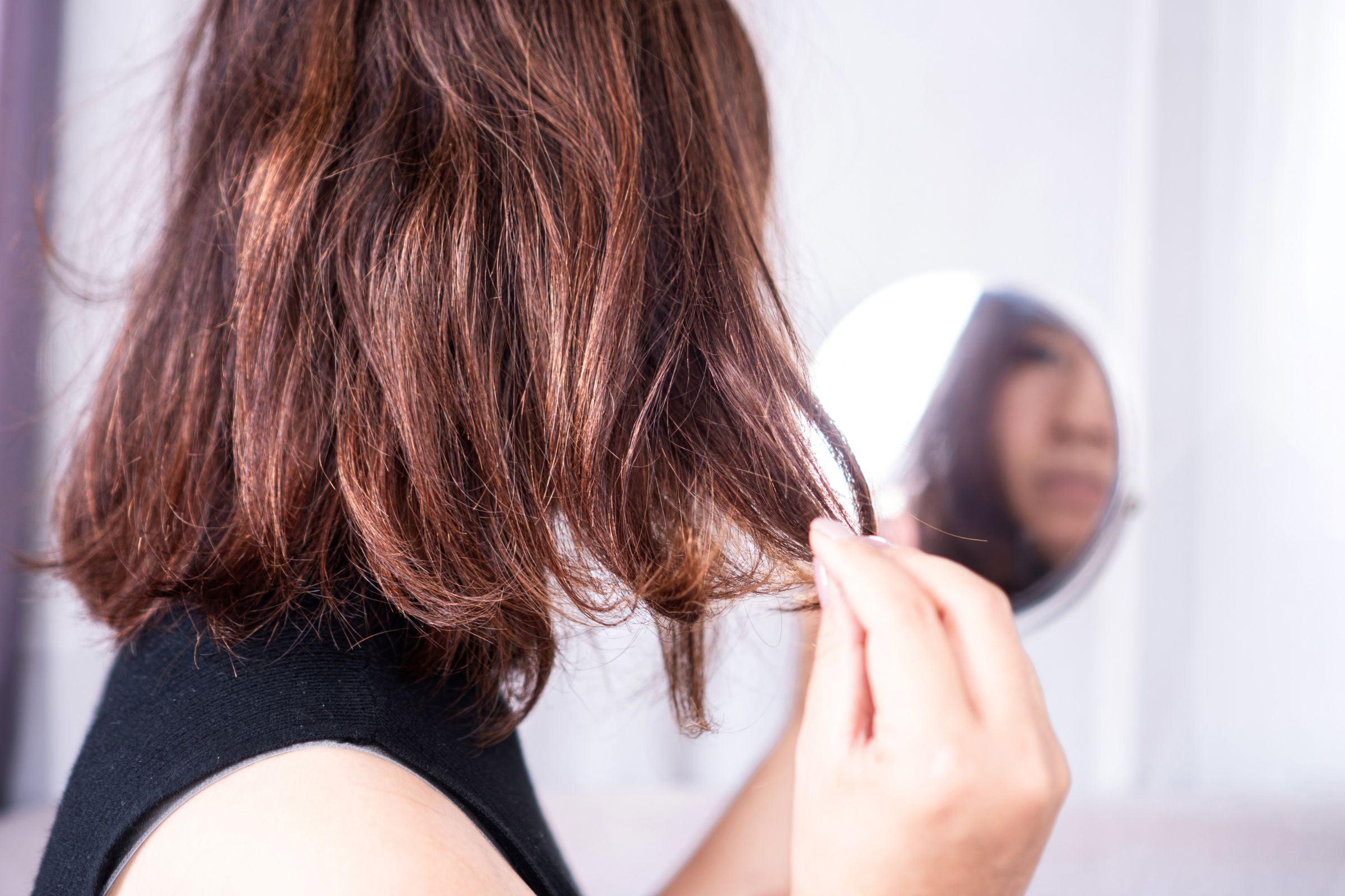 Cover_Photo_100_PURE_Tired_of_Dry_Hair__These_7_Natural_Conditioners_Will_Save_Your_Strands