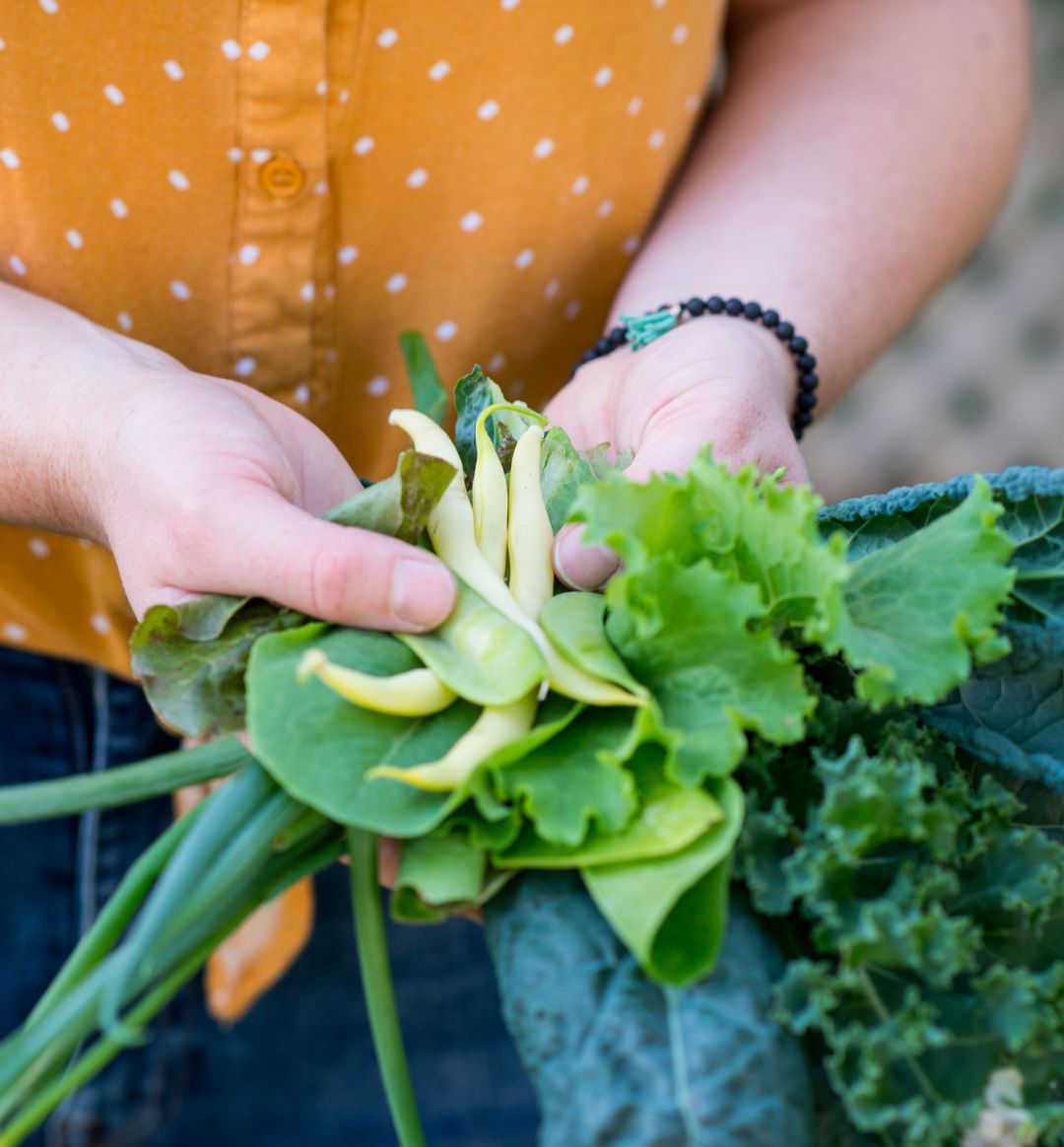 Dark Leafy Greens.jpg