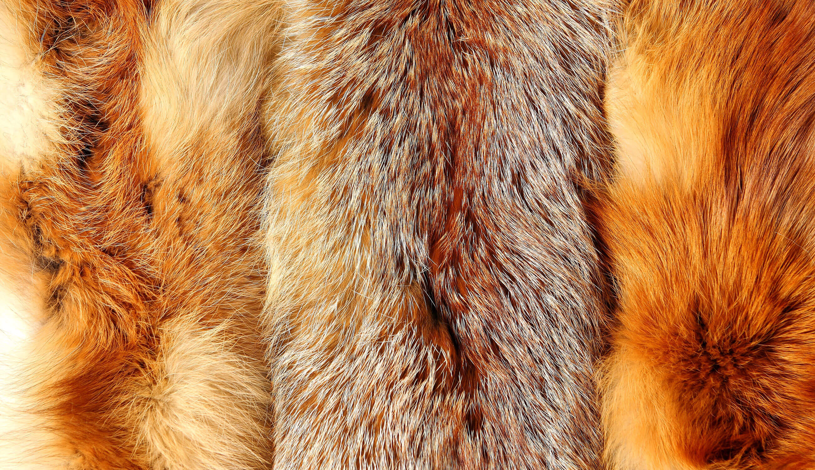 Fox-Fur.jpg
