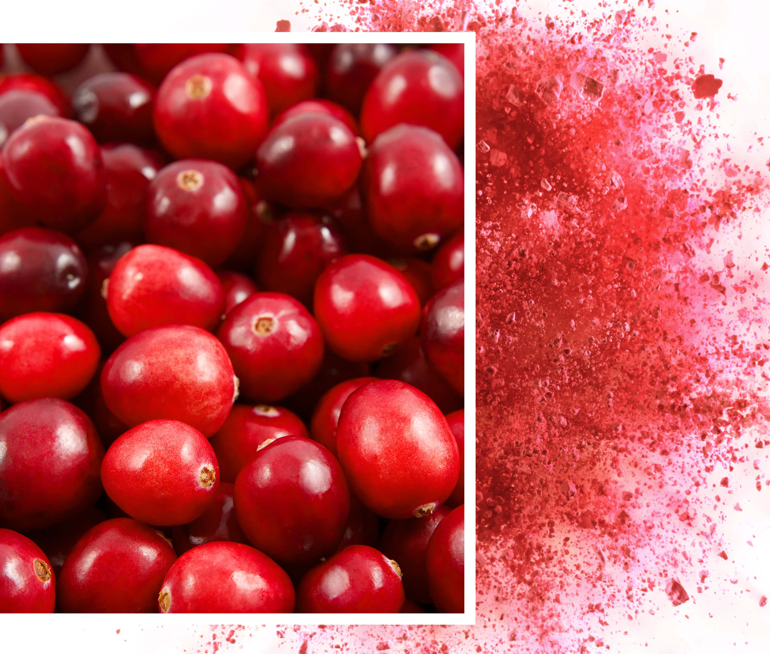 Cranberry