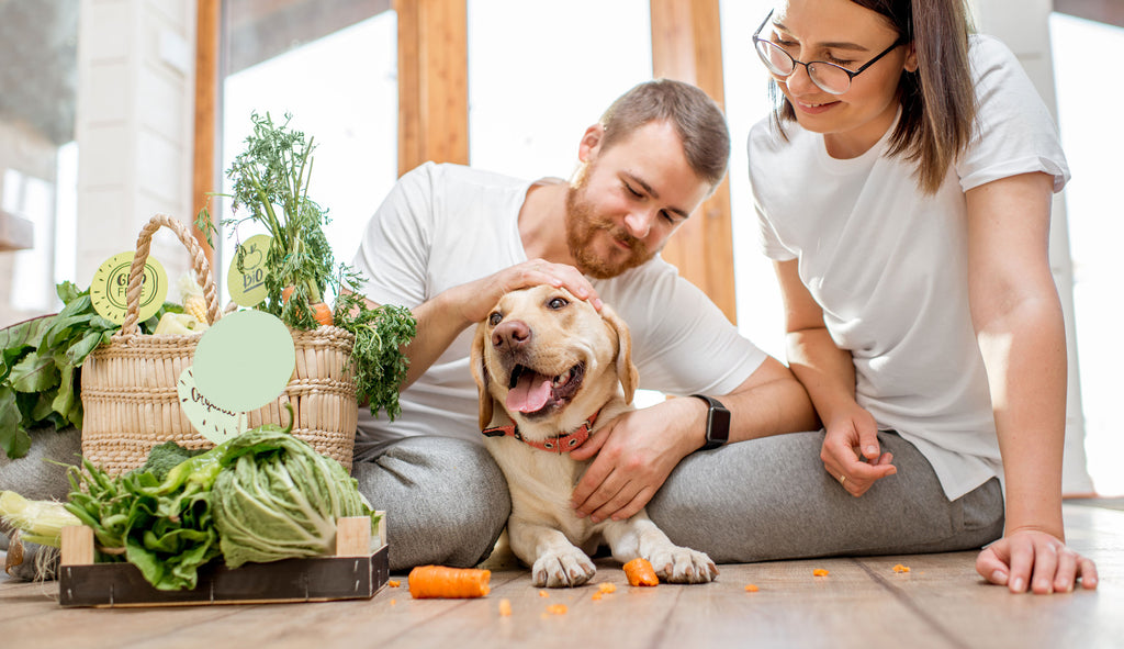 Happy-Veggie-Dog-Main