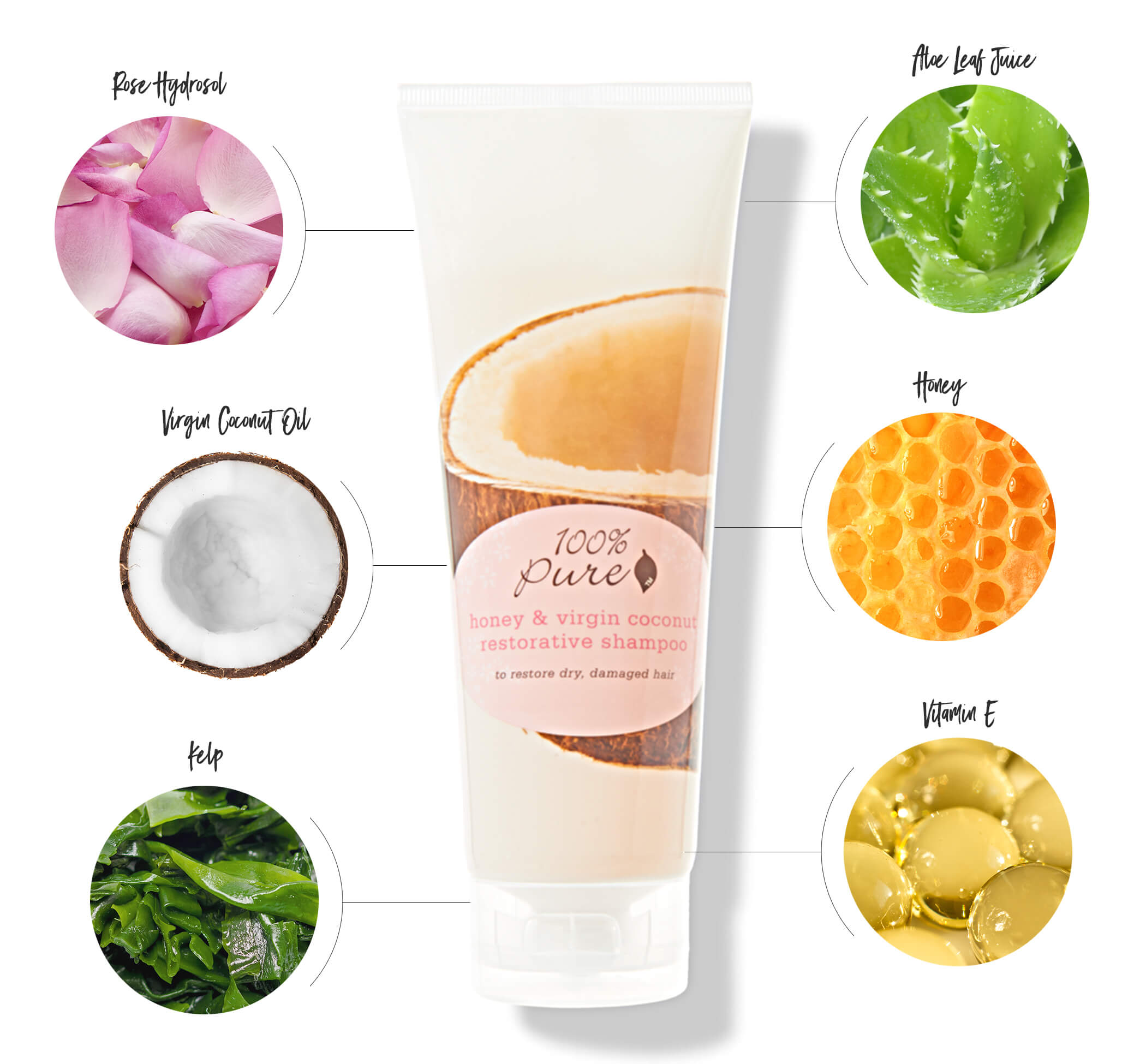 Honey and Virgin Coconut Shampoo Ingredients Chart