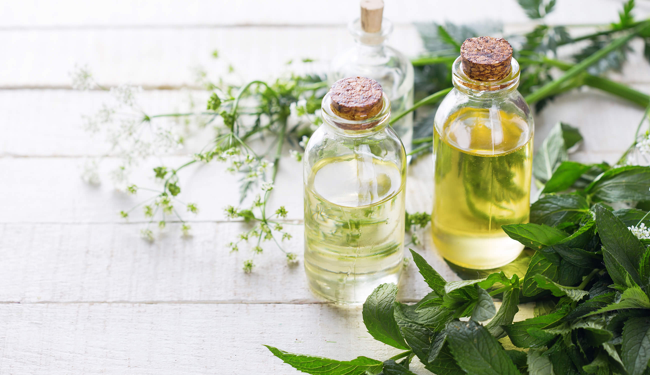 Main-essential oils with herbs.jpg