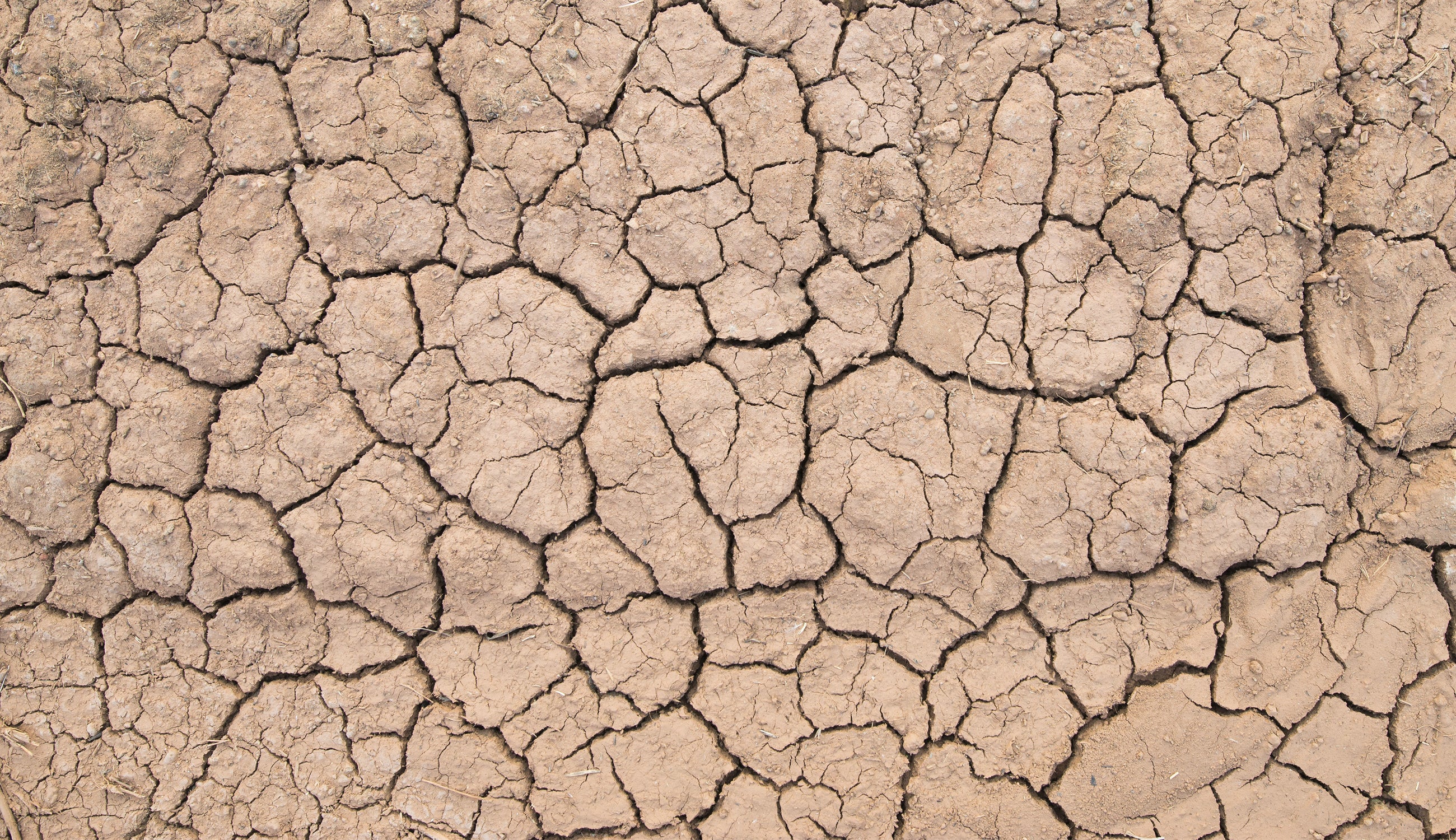 Dried dirt to signify dry skin