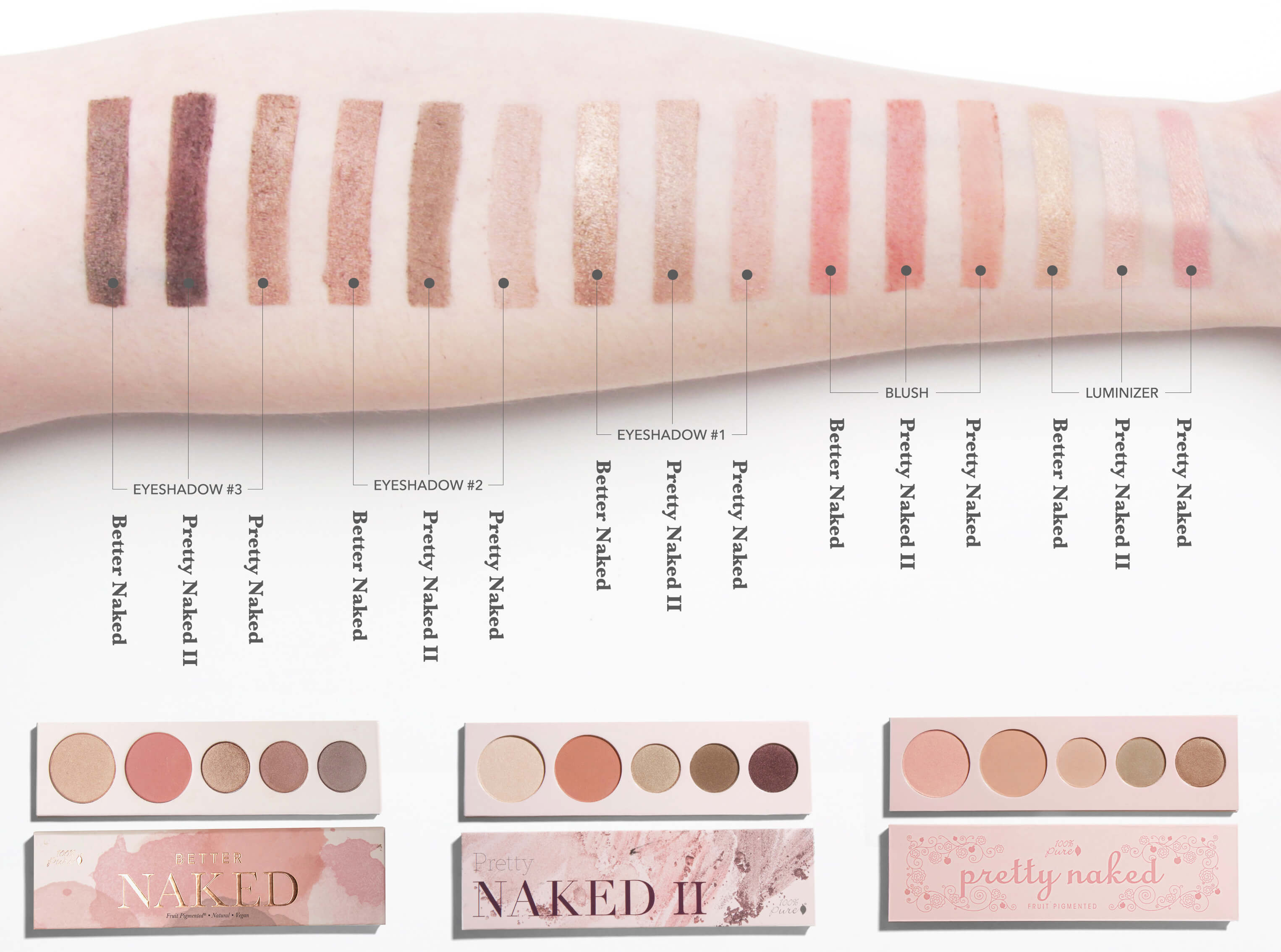Naked Palette Comparison Guide