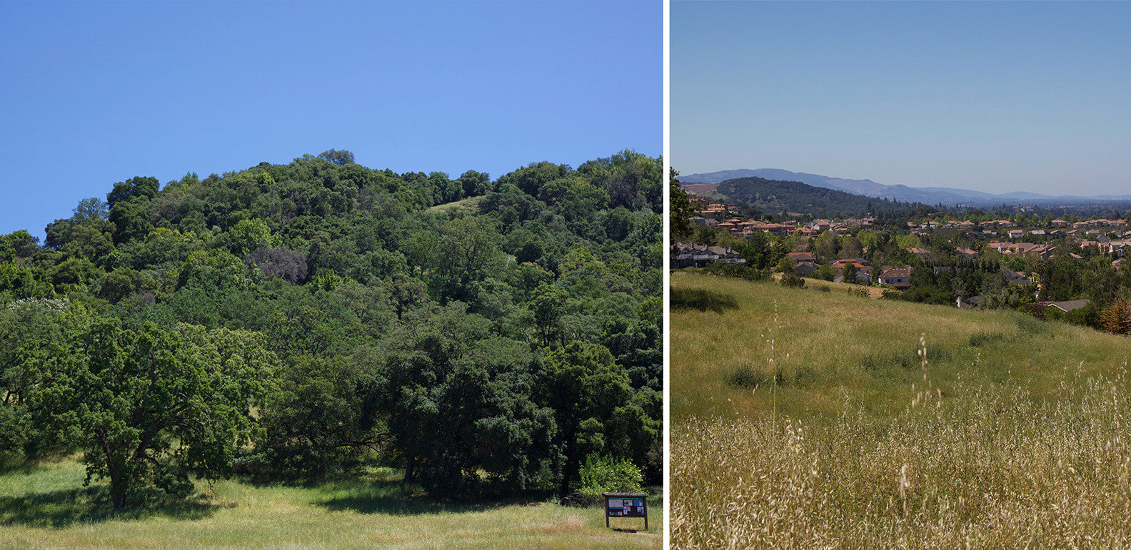 Almaden Quicksilver County Park