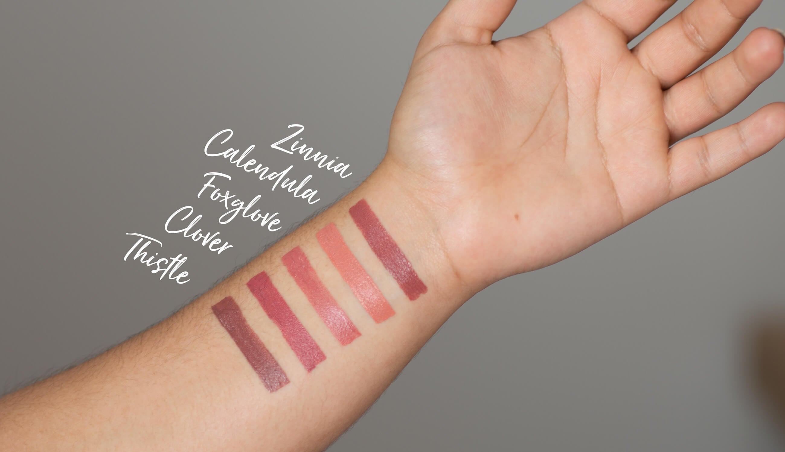 Pom-Lipsticks-Zinnia-Calendula-Foxglove-Clover-Thistle