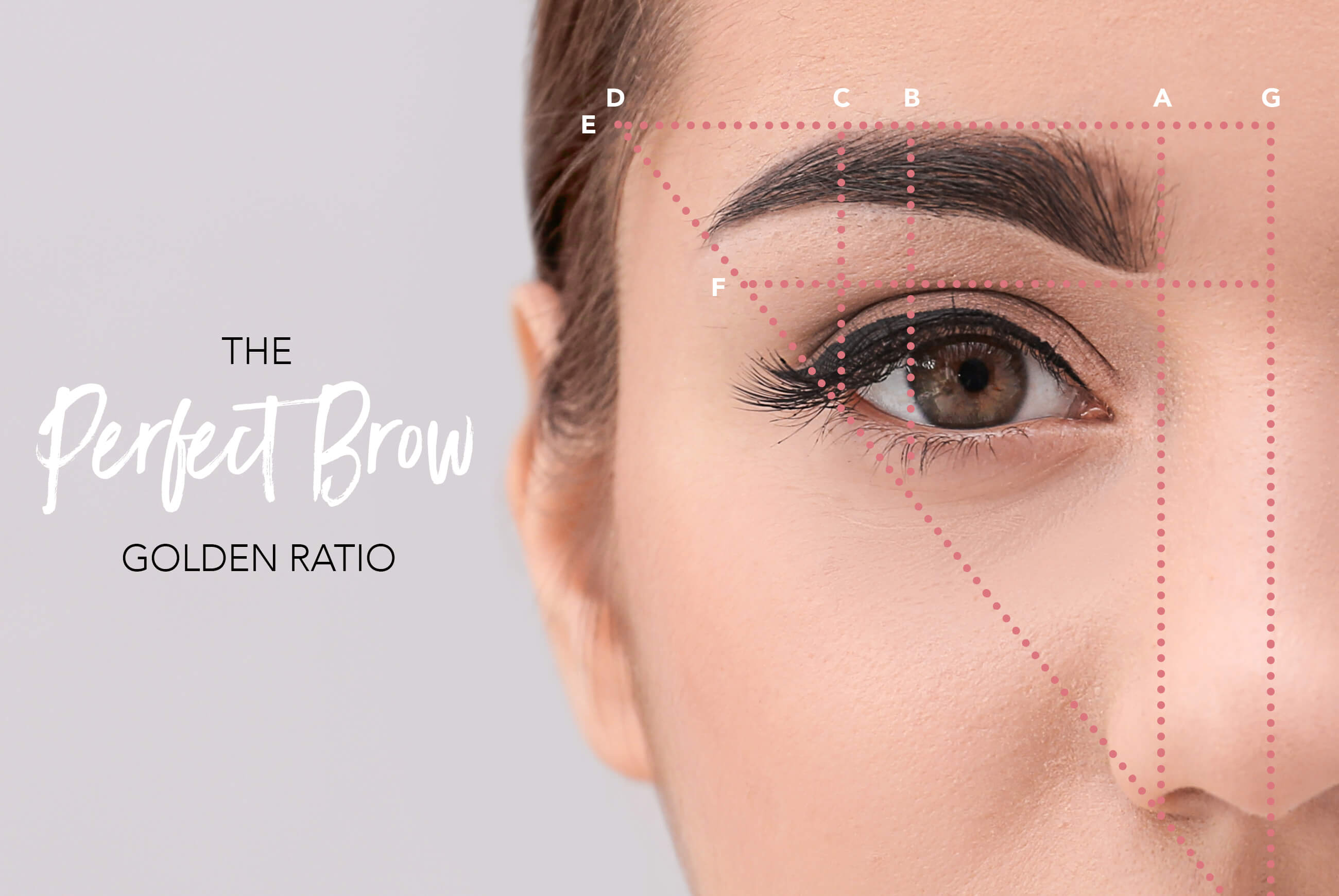 The Perfect Brow Golden Ratio