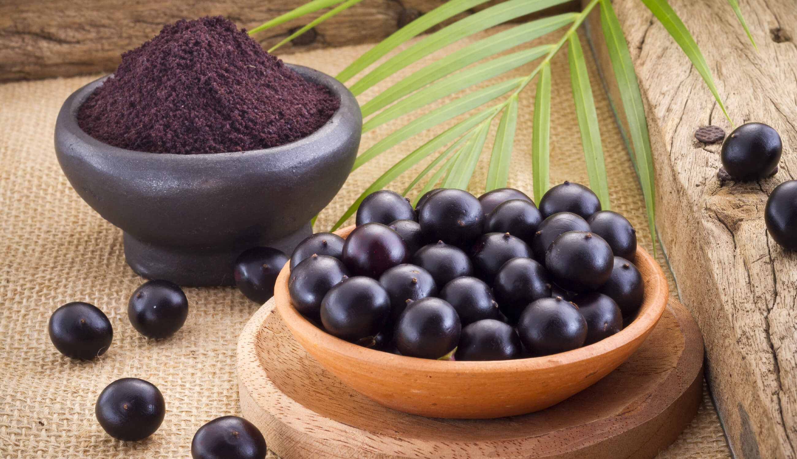 Acai super fruit