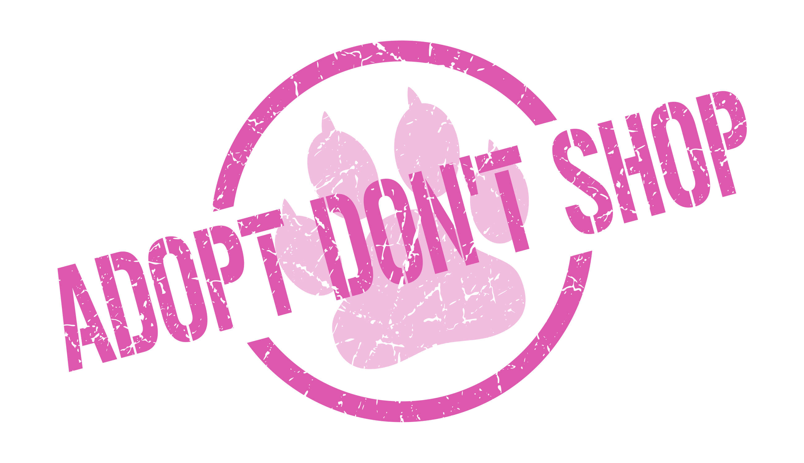 Adopt dont shop