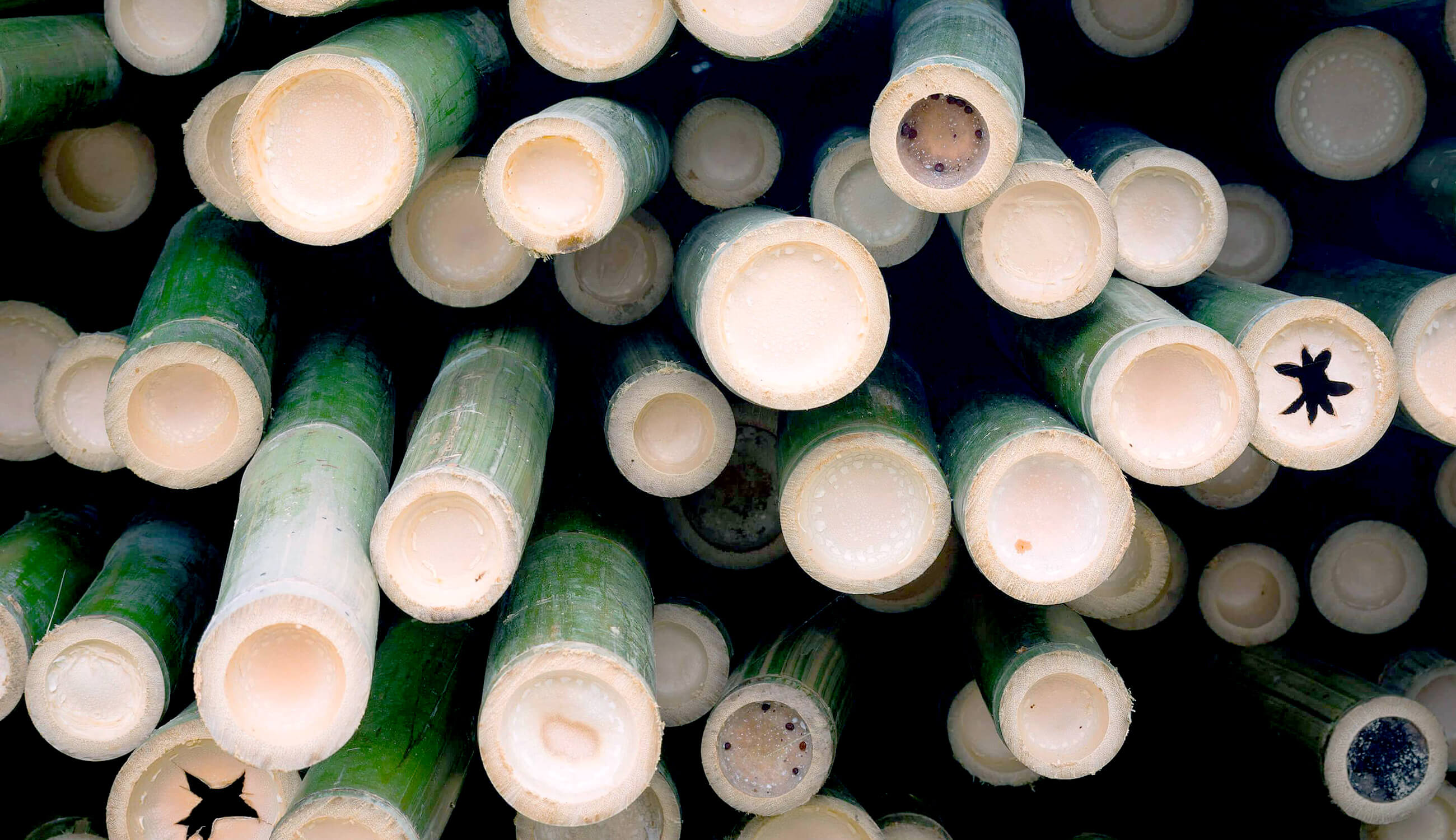 Bamboo silica